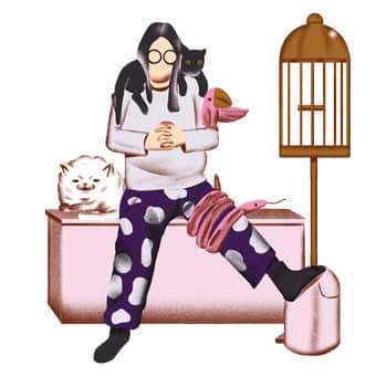 categories-pets